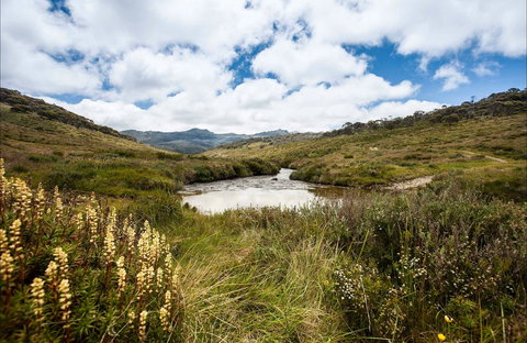 Cascade Hut Trail - Food Delivery Shop 0