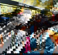 Crystal Kingdom - Pet Food Australia