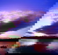 Currumbin Waters - Pet Food Australia