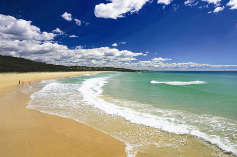 Dalmeny To Potato Point Via Lake Brou - Pet Food Australia 1