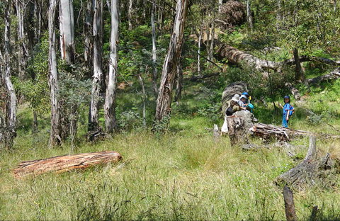 Federal Falls Walk - Food Delivery Shop 0