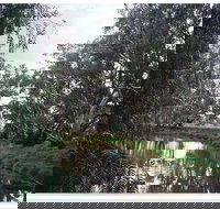 Henty Government Dam Nature Reserve - Food Delivery Shop