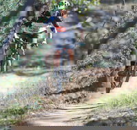 Kidsons Cycles - Food Delivery Shop