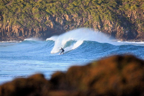 Killalea Reserve - Food Delivery Shop 1