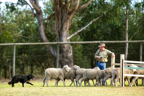 Lone Pine Koala Sanctuary - Food Delivery Shop 2