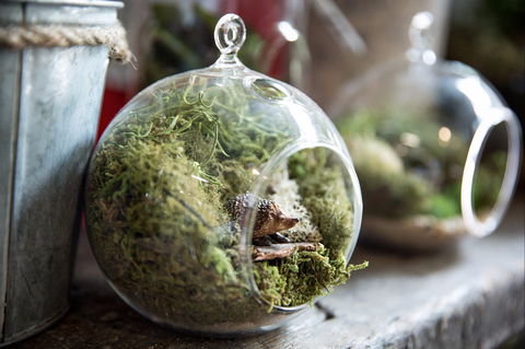 Moxom And Whitney - Food Delivery Shop 0