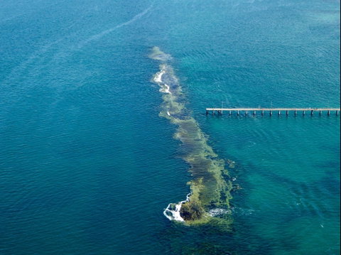 Port Noarlunga Reef Sanctuary Zone - Encounter Marine Park - Food Delivery Shop 0