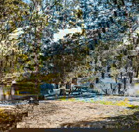 River Walk Boonoo Boonoo National Park - Pet Food Australia