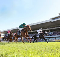 Rosehill Gardens Racecourse - Food Delivery Shop
