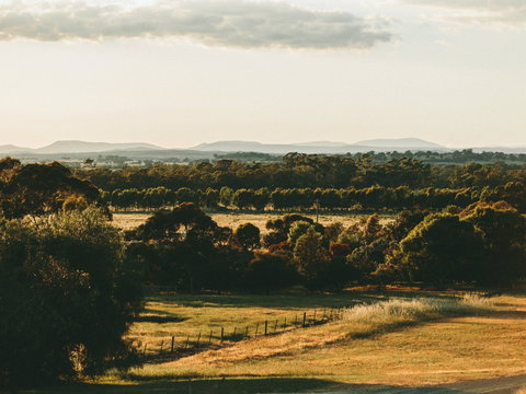 Rutherglen Wine Bottle - Food Delivery Shop 2