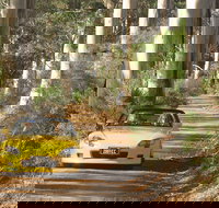 Scotsdale Tourist Drive - Food Delivery Shop