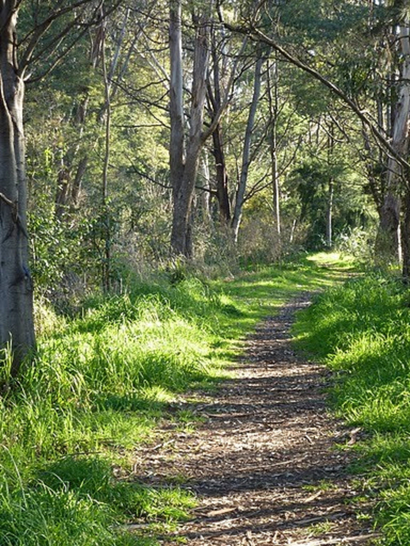 The North West TAS Food Delivery Shop