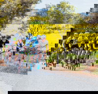 The Heron's Highway - Avon River Cycle Trail - Pet Food Australia