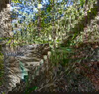 Thylogale Track - Food Delivery Shop