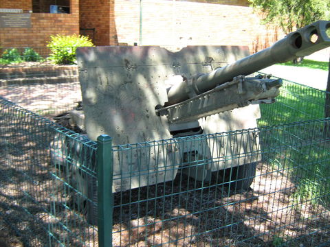 Woodpecker Gun - Food Delivery Shop 1