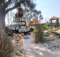 Zambi Wildlife Retreat - Food Delivery Shop