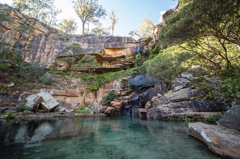 Blackdown Tableland National Park - Food Delivery Shop 1