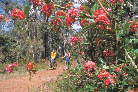 Dwellingup - Food Delivery Shop 1