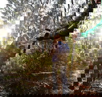 Kinglake National Park - Pet Food Australia