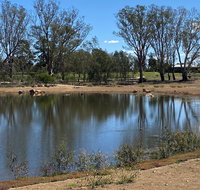 Lake King Wetlands at Rutherglen - Food Delivery Shop