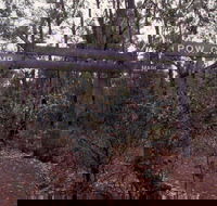 Marrinup Trail Dwellingup - Food Delivery Shop