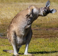 Narawntapu National Park - Food Delivery Shop