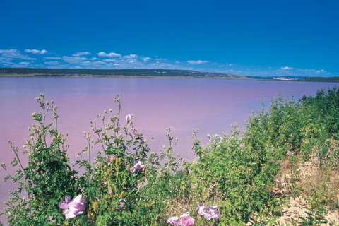 Port Gregory - Pet Food Australia 0