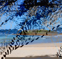 Sandon Beach - Pet Food Australia