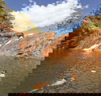 Serpentine - Pet Food Australia