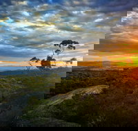 Tenterfield - Pet Food Australia