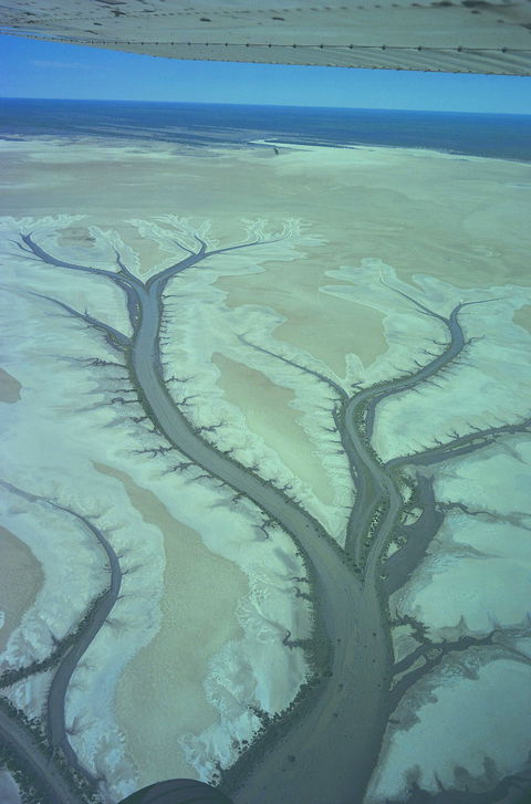 Tidal Flats - Food Delivery Shop 0