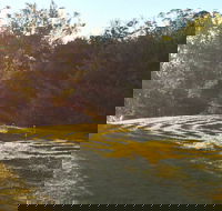 Vortex Healing Centre - Food Delivery Shop