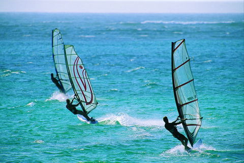 Windsurfing And Surfing - Food Delivery Shop 2