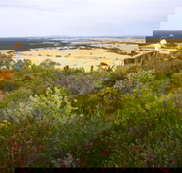 Archer Drive Scenic Drive and Lookout - Food Delivery Shop