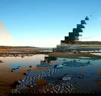 Brooms Head - Pet Food Australia