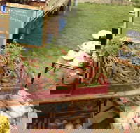 Burnie Farmers Market - Pet Food Australia