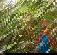 Canungra - Pet Food Australia