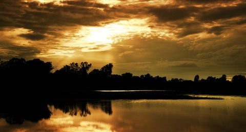 Chinchilla - Food Delivery Shop 2