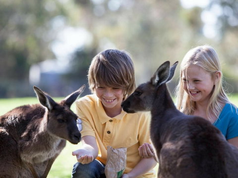Cleland Wildlife Park - Food Delivery Shop 1