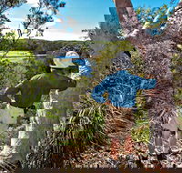 Corkwood and Scribbly Gum Walking Track - Food Delivery Shop