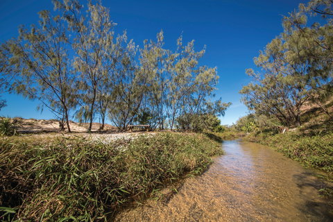 Freshwater Creek Track, Byfield National Park - Food Delivery Shop 0