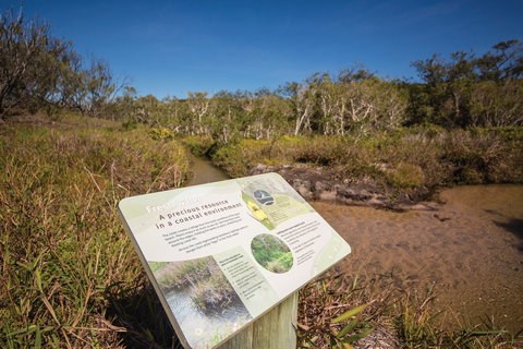 Freshwater Creek Track, Byfield National Park - Food Delivery Shop 1