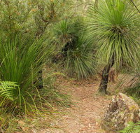 Grass Tree Circuit - Food Delivery Shop