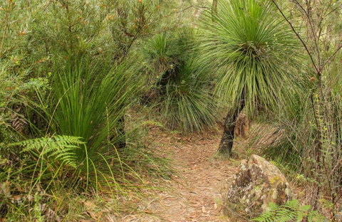 Grass Tree Circuit - Food Delivery Shop 0