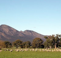 Grampians - Food Delivery Shop