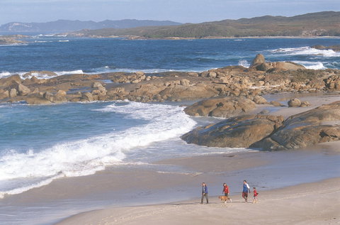 Lights Beach - Food Delivery Shop 0