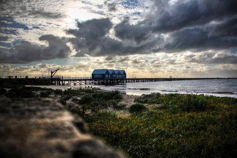 Marine Life Encounters - Food Delivery Shop 2