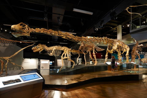Melbourne Museum - Food Delivery Shop 1