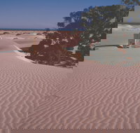 Nullarbor Plain - Food Delivery Shop