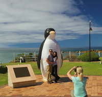 Penguin - Food Delivery Shop